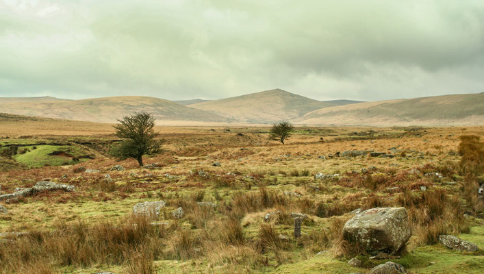 Christmas in Devon with Beryl & Ivan