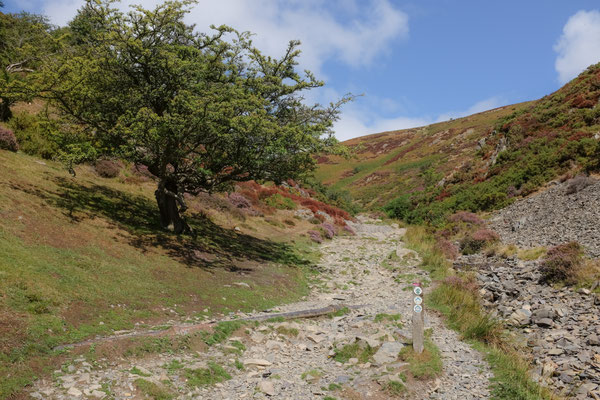 Shropshire Hills walk