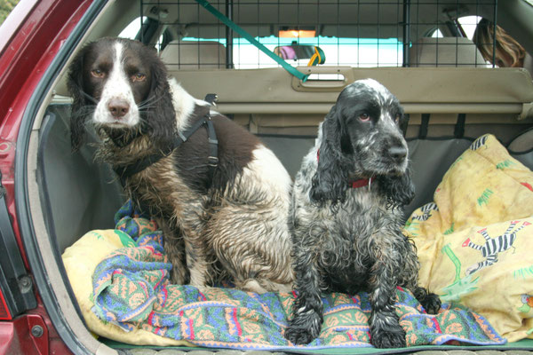 Christmas at Ensis Farm Cottages, North Devon