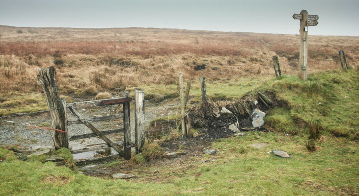 Christmas at Ensis Farm Cottages, North Devon