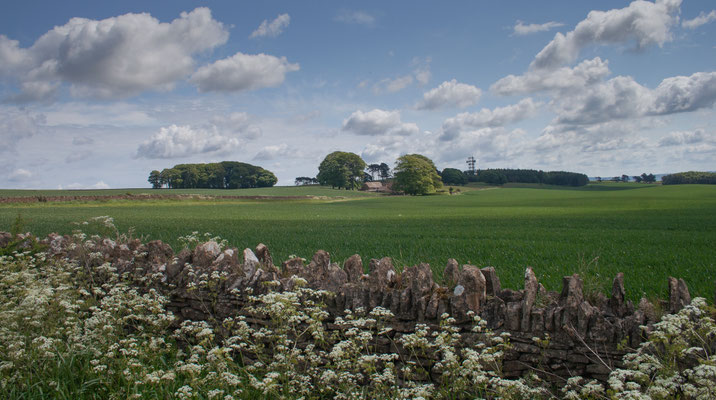 Walk on Bredon Hill from Overbury side