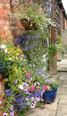 Hanging baskets