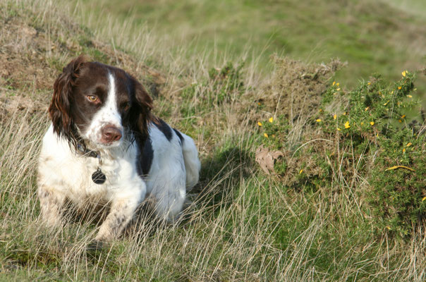 Walking on the Malvern Hills