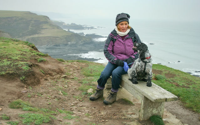 Christmas at Ensis Farm Cottages, North Devon