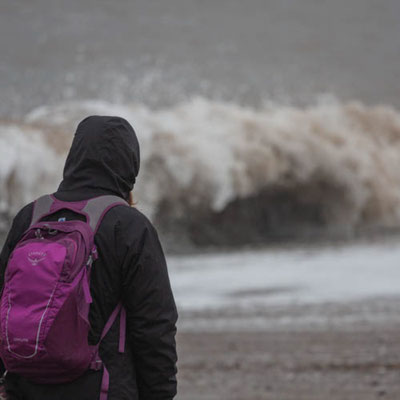February, Skeyton stay, Norfolk