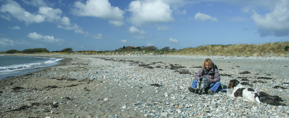 Snowdon / North Wales holiday 