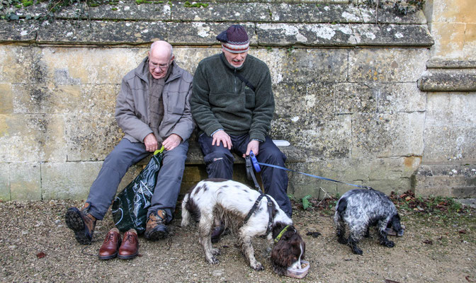 Stanton / Stanway New Years Day walk