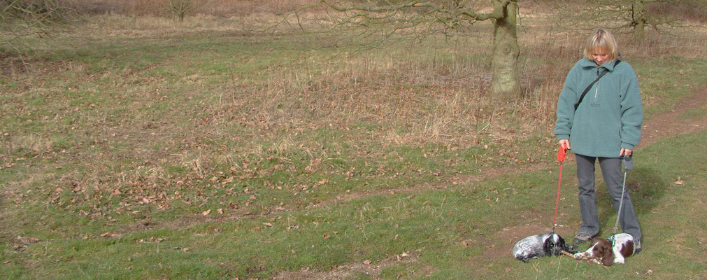 First major walk - Croome Court