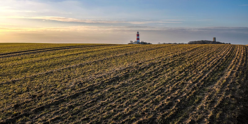 February, Skeyton stay, Norfolk