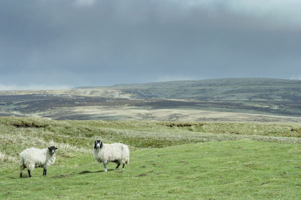June, Lakes Holiday based near Appleby