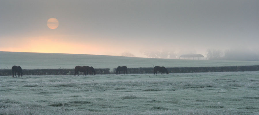 Winter walk round the Stud fields, Throckmorton