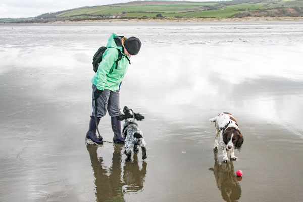 Easter in Cardigan Bay