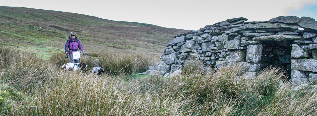 Conwy / Anglesey holiday (October)