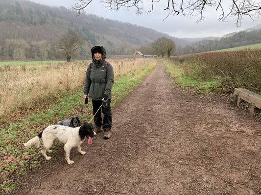 Symonds Yat, Christmas Day