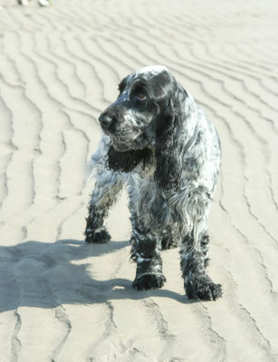 Snowdon / North Wales holiday 