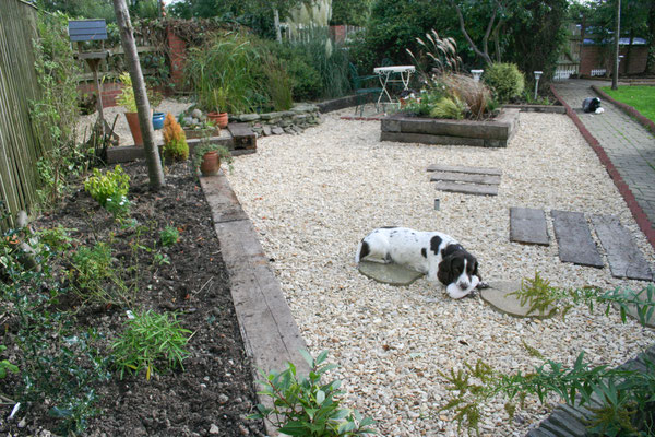 The shingle garden maturing