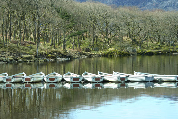 Snowdon / North Wales holiday 