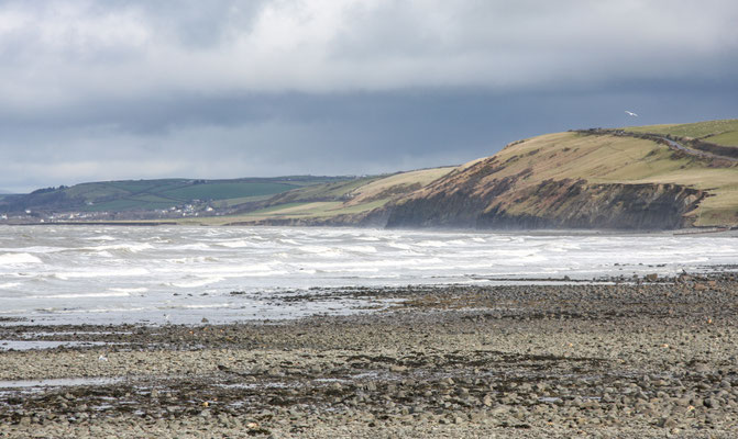 Easter in Cardigan Bay