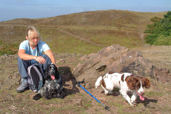 Chase End - The Malverns