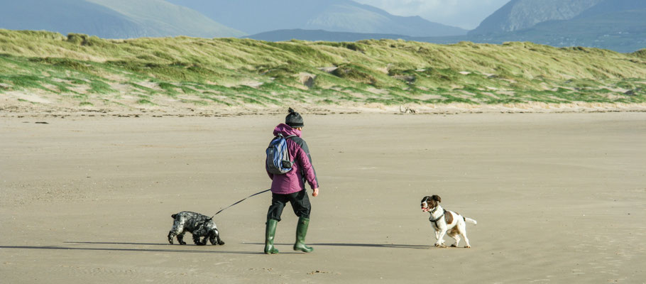 Conwy / Anglesey holiday (October)