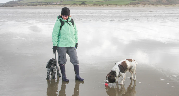 Easter in Cardigan Bay