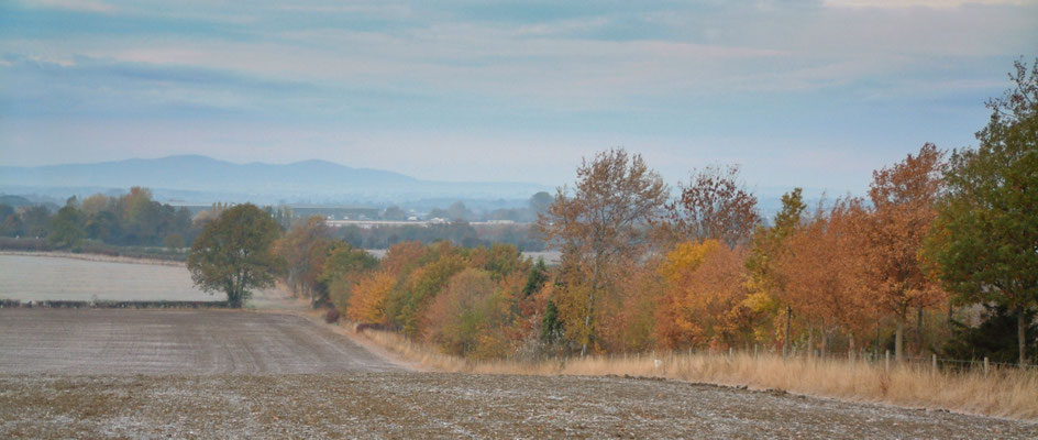 Frosty morning walk with Will around Throckmorton Stud fields