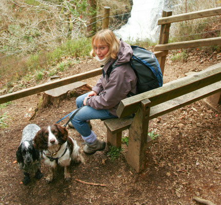 Snowdon / North Wales holiday 