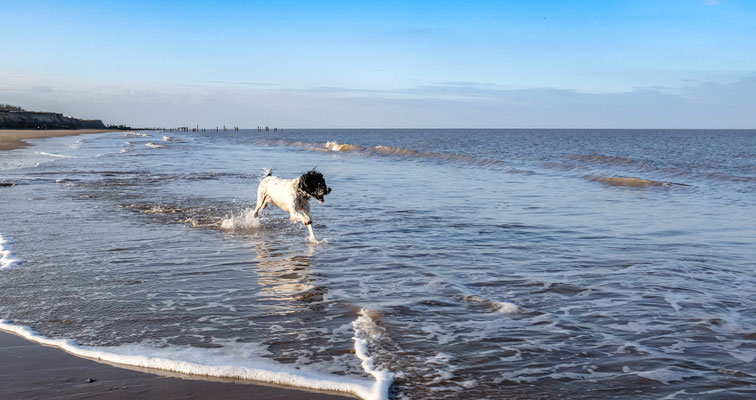 February, Skeyton stay, Norfolk