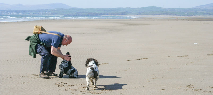 Snowdon / North Wales holiday 