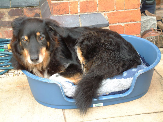 The Mythe - autumn get together