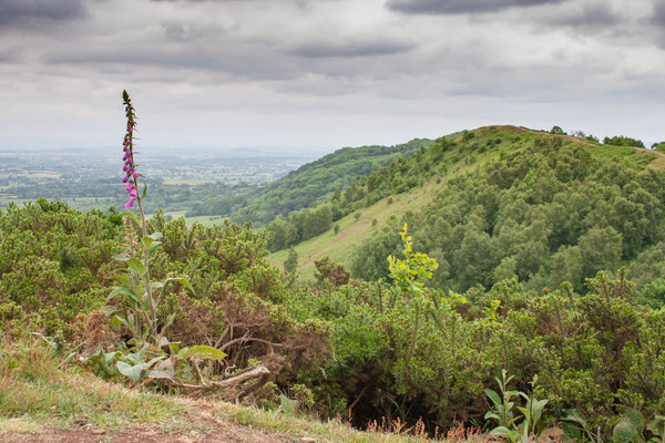 Walking on the Malvern Hills