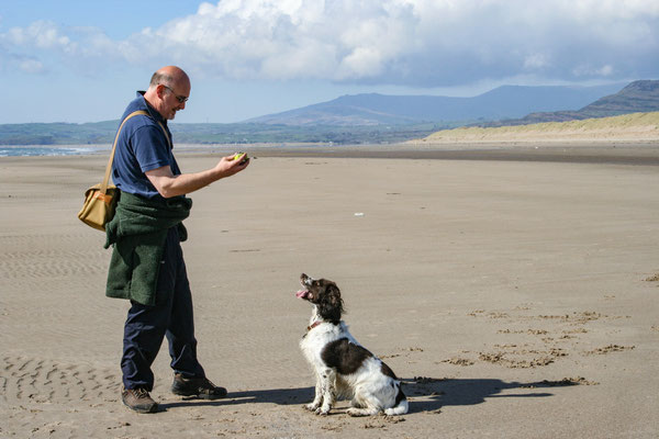 Snowdon / North Wales holiday 