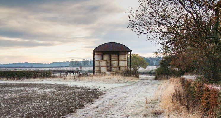 Frosty morning walk with Will around Throckmorton Stud fields
