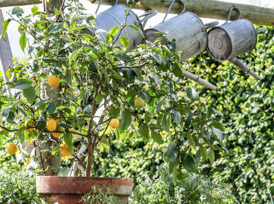 National Trust - Coughton Court