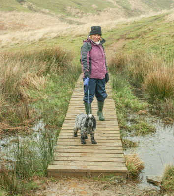 Christmas at Ensis Farm Cottages, North Devon