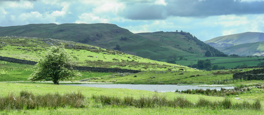 June, Lakes Holiday based near Appleby