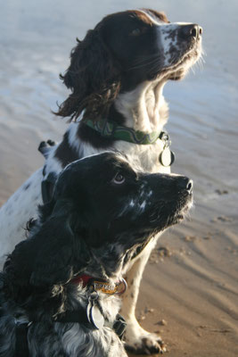 Conwy / Anglesey holiday (October)