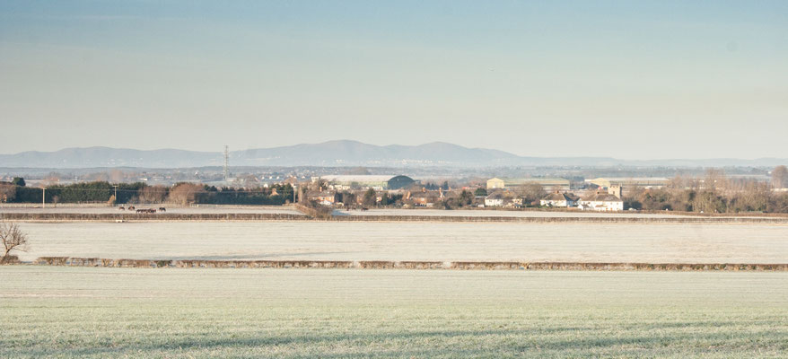 Frosty days in Throckmorton
