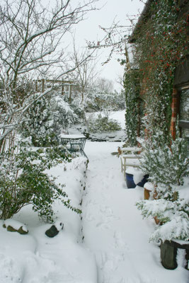 Heavy snow in Throckmorton