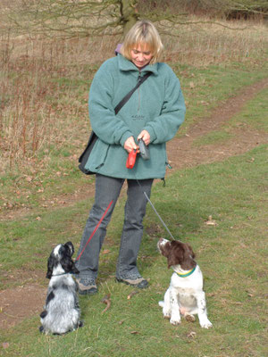 First major walk - Croome Court