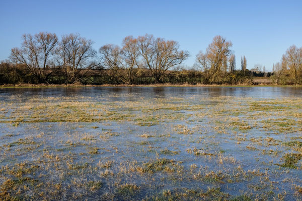 River walk, Twinning