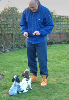 Zebbie & Rosie do a bit of training