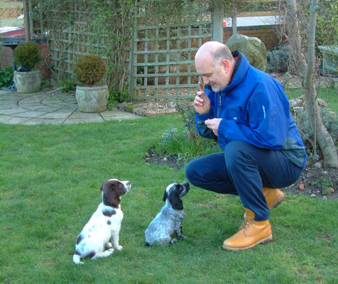 Zebbie & Rosie do a bit of training