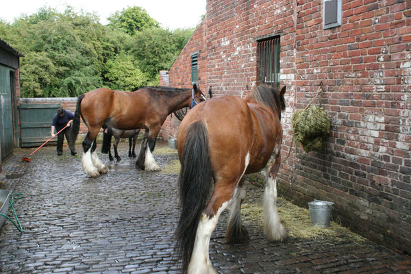 Ben comes to stay - visiting the Black Country Museum