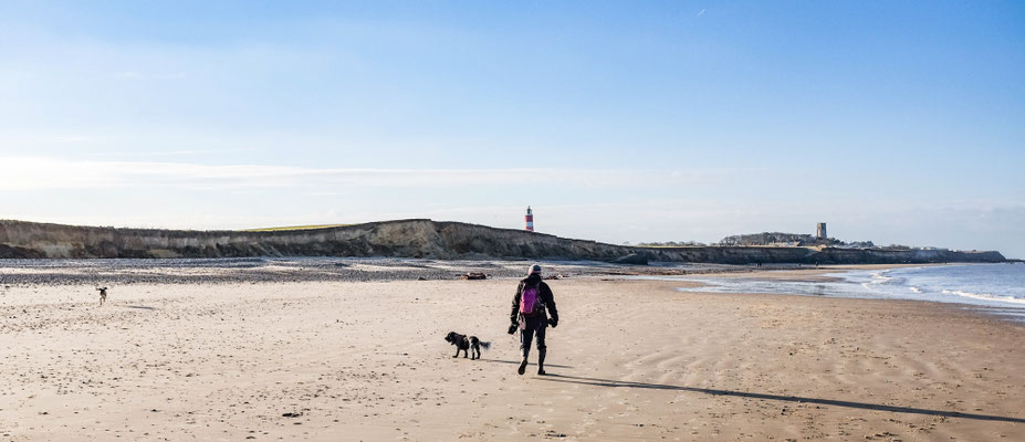 February, Skeyton stay, Norfolk
