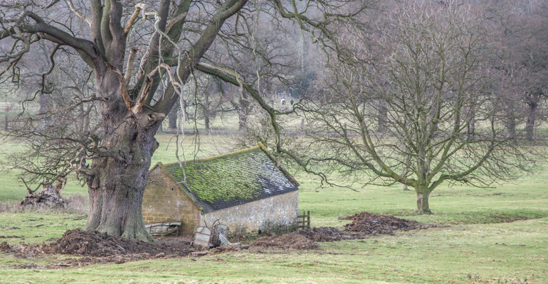 Stanton / Stanway New Years Day walk