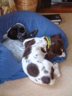 Then a bit more resting