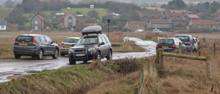 February, Skeyton stay, Norfolk