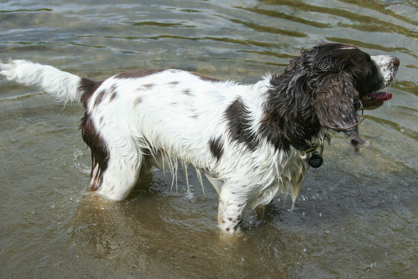 The Avon at Fladbury