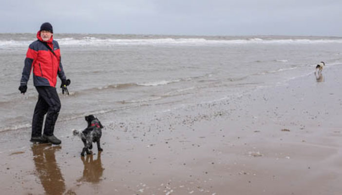 February, Skeyton stay, Norfolk